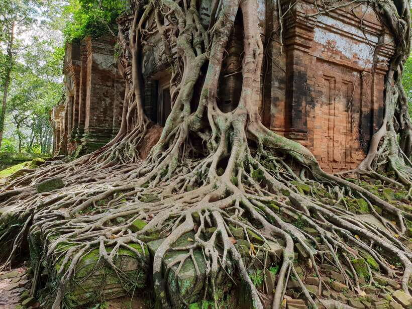 Beng Mealea, Koh Ker & Floating village Day Tour - Who should book this trip?