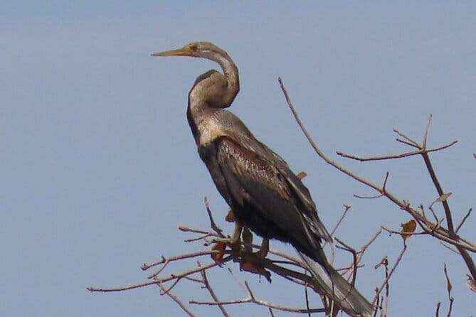 Beyond The Oudong Temple and Birdwatching in Phnom Penh - Tonle Sap riverside routes and changing rural life