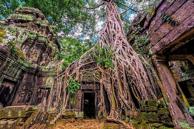 Cambodia 7 Days Tour from Siem Reap to Battambang and Phnom Penh - Phnom Penh’s royal quarter and city landmarks