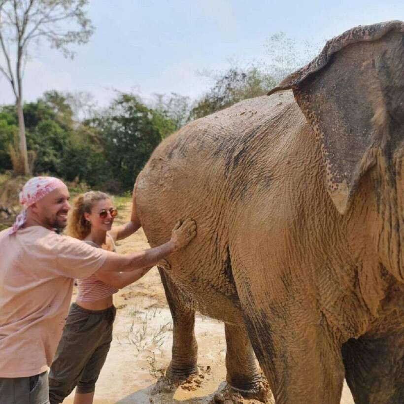 Cambodia Elephant Sanctuary and Banteay Srey Temple Tour - FAQ