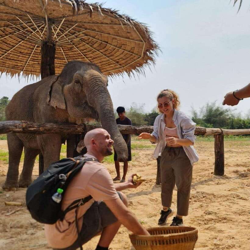Cambodia Elephant Sanctuary and Banteay Srey Temple Tour - Banteay Srei and its tiny pink carvings