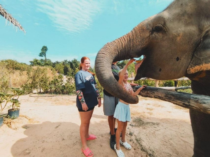 Cambodia Elephant Sanctuary and Banteay Srey Temple Tour - Is $71 good value?