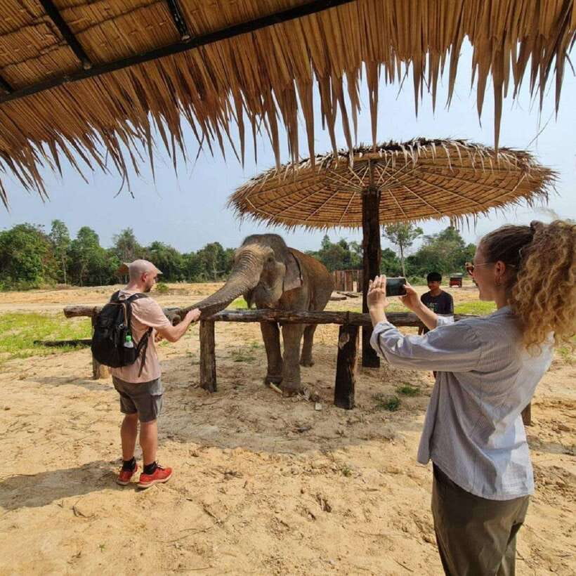 Cambodia Elephant Sanctuary and Banteay Srey Temple Tour - Who should choose this day?