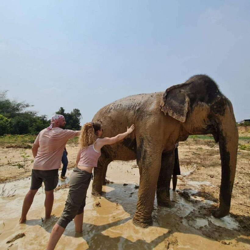 Cambodia Elephant Sanctuary and Banteay Srey Temple Tour - Should you book the Cambodia Elephant Sanctuary and Banteay Srei tour?