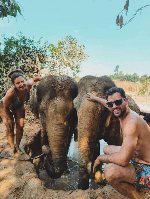 Cambodia Elephant Sanctuary and Banteay Srey Temple Tour - What elephant care means for your visit