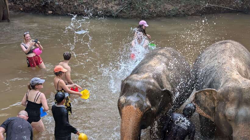 Cambodia Elephant Sanctuary Include Hotel Transfer Roundtrip - Feeding and walking beside the animals
