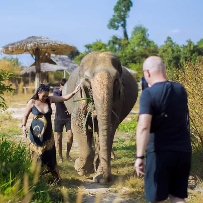Cambodia Elephants Haft Day Experiences from Siem Reap - The viewpoint and rural Cambodian scenery