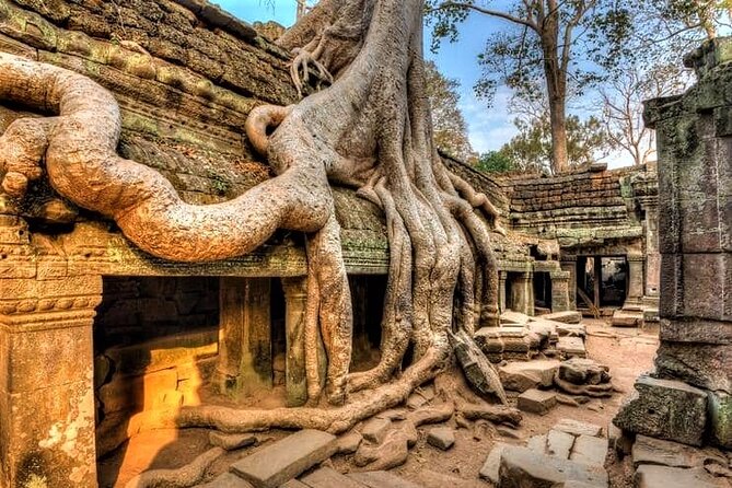 Cambodia Highlight 6 Days Tour from Siem Reap to Phnom Penh - Tuol Sleng and Choeung Ek require time and care