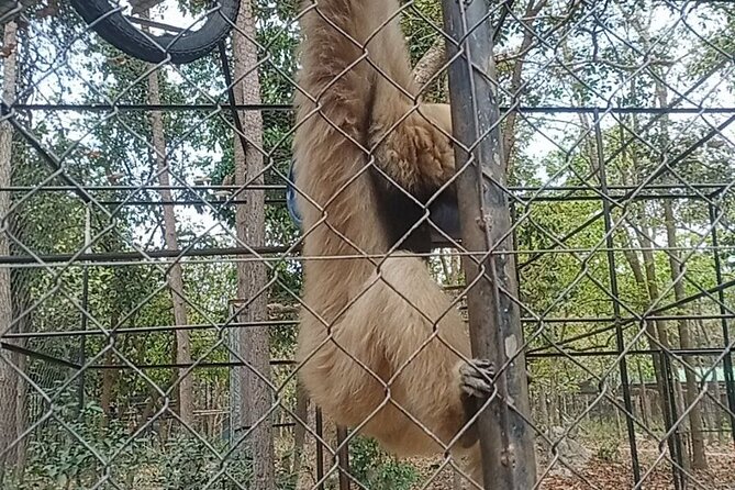 Cambodia Wildlife Sanctuary and Countryside Tour - Why this Phnom Penh day trip feels different