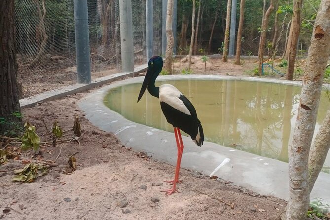 Cambodia Wildlife Sanctuary and Countryside Tour - What the $159 price really covers