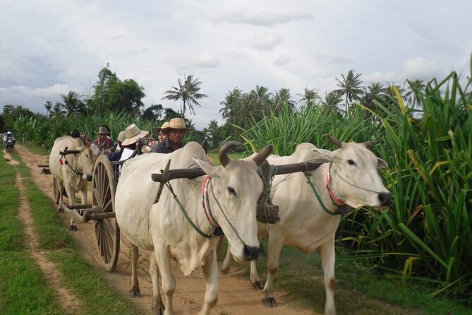 Cambodian Cooking Class and Oxcart Ride with Local Village Tour - Picking Khmer ingredients at the local market