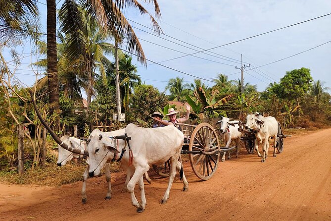 Cambodian Cooking Class and Oxcart Ride with Local Village Tour - Why the family setting matters