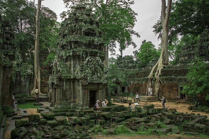 Classic Angkor Wat Sunrise Full Day Private Guide Tour - Ta Prohm and the power of the jungle