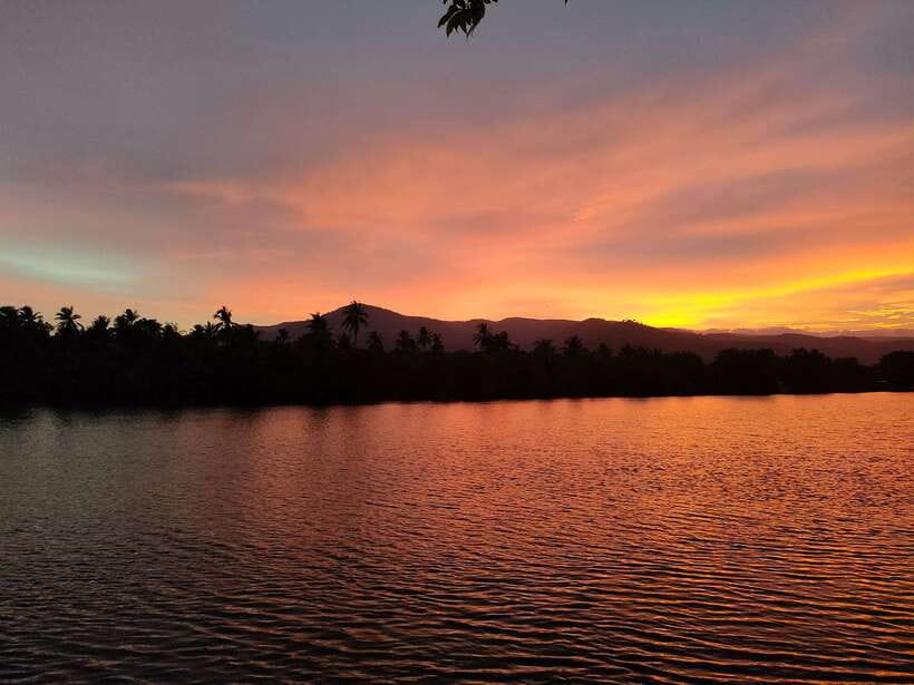 Countryside tours include pepper plantations - Leaving Kampot by tuk-tuk