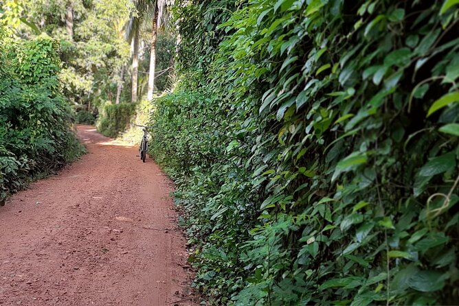 Cultural Cycling Tour - half day (8:00-11:30) - What the cycling feels like
