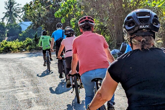 Customs and Culture Half Day Walk and Bike Tour in Battambang - Rice fields and the rural rhythm