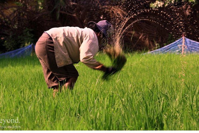 Day in a Life Authentic Village Experience in Siem Reap - Work that changes with the farming calendar