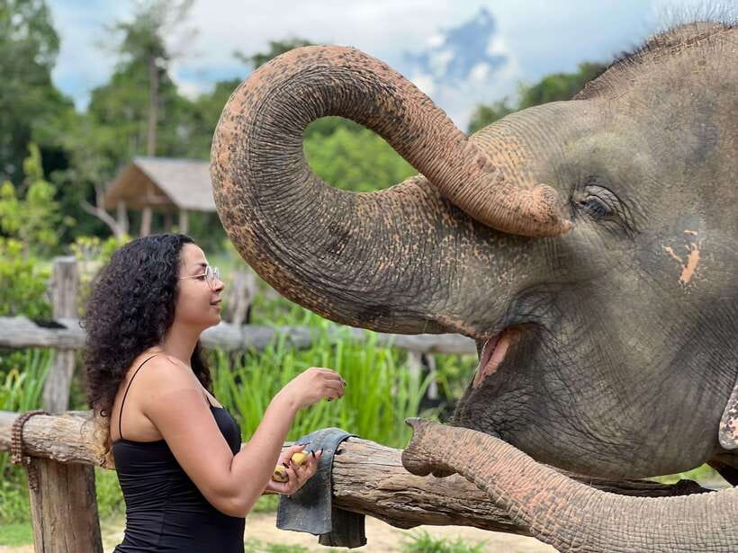 Elephant Sanctuary Cambodia, Pickup and drop off included - Key points before you book