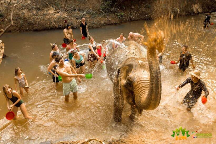 Elephant Sanctuary Cambodia, Pickup and drop off included - Making elephant snacks by hand