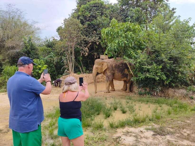 Elephant Sanctuary Cambodia, Pickup and drop off included - Why the mud bath is more than a photo stop