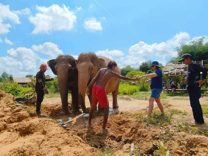 Elephant Sanctuary Cambodia, Pickup and drop off included - Who will enjoy this sanctuary visit