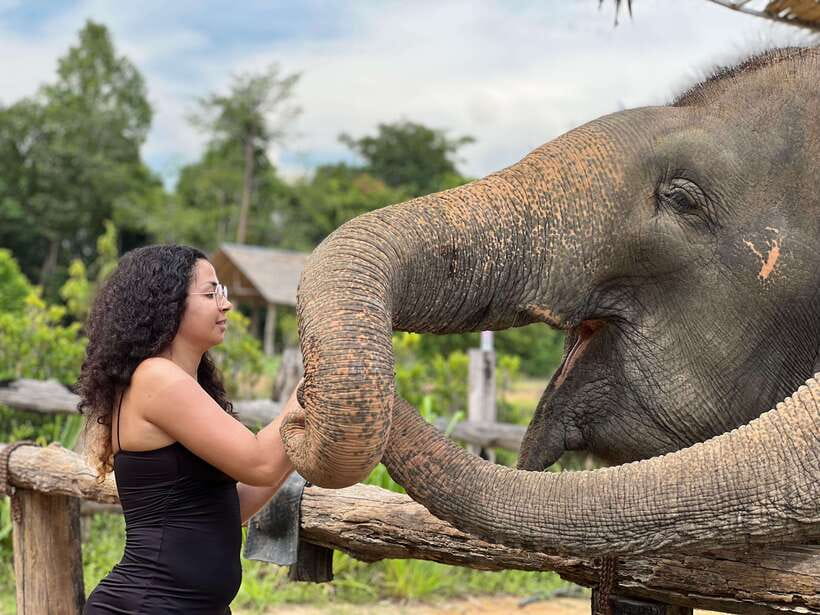 Elephant Sanctuary Cambodia, Pickup and drop off included - Meeting the elephants and learning their stories