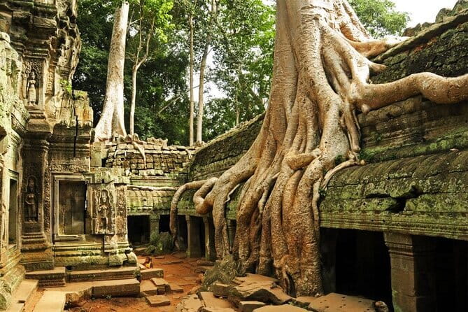 Exclusive Angkor temples and Small group temples tours - A full day through Angkor’s greatest monuments