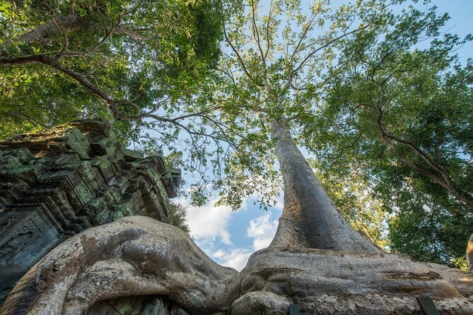 Exclusive Angkor temples and Small group temples tours - Bayon Temple and its stone faces
