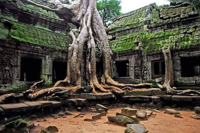 Explore Angkor Wat Sunrise Small Tour Private VIP Car - Why the 4:30am start is worth the lost sleep