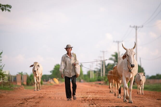 Explore Angkor Wat Sunrise Small Tour Private VIP Car - Banteay Kdei and Srah Srang at the end
