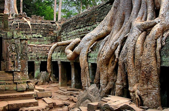 Explore Angkor Wat Temple , Bayon Temple and Jungle Temple Ta-Prohm - Timing, heat, and the amount of walking