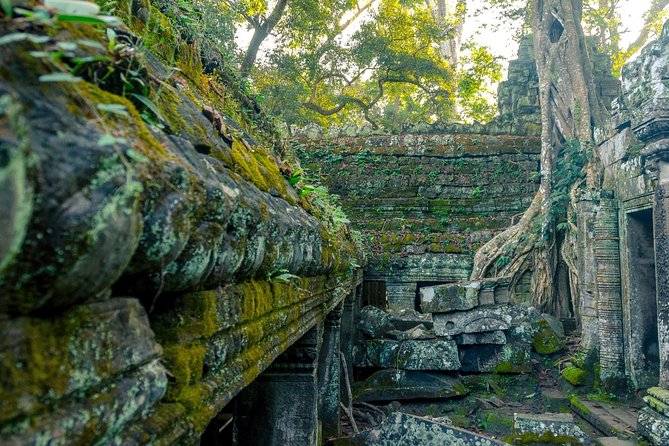 Explore Angkor Wat Temple , Bayon Temple and Jungle Temple Ta-Prohm - Bayon and Angkor Thom: stone faces first