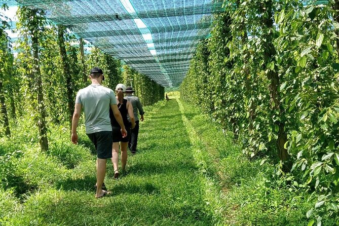 Exploring Kampot: A Memorable Tour from Sihanoukville - Key points to know before booking