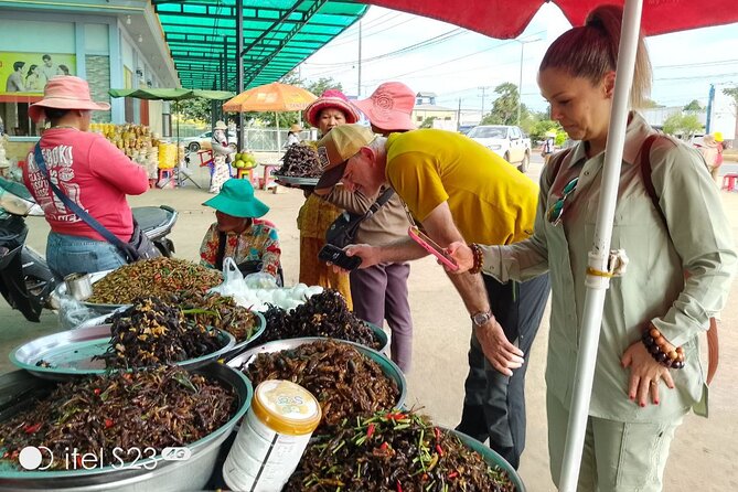 Exploring Siem Reap: Scenic Journey from Phnom Penh or Vice Versa - Who should book this route