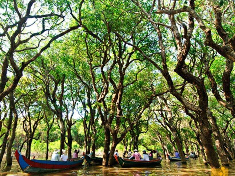 Floating Village-Mangroves Forest Tonle Sap Lake Boat Tour - Afternoon stops shift from water to worship