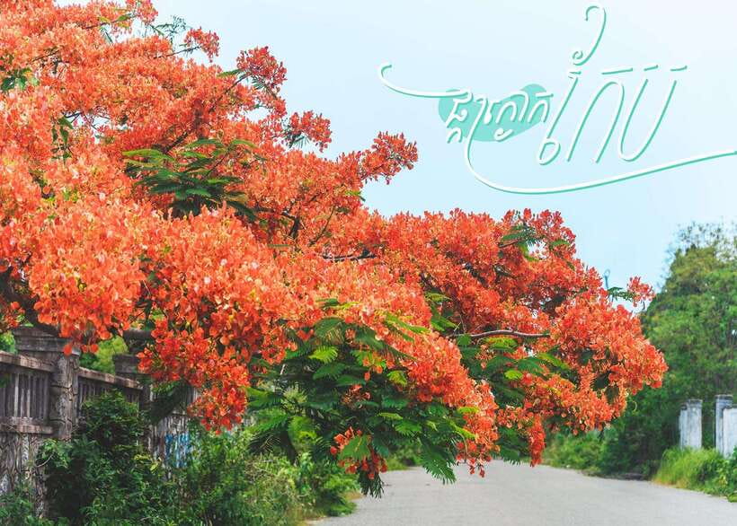 From Phnom Penh: Kampot and Kep Day Trip with English Guide - Kep Beach: A Short Coastal Pause