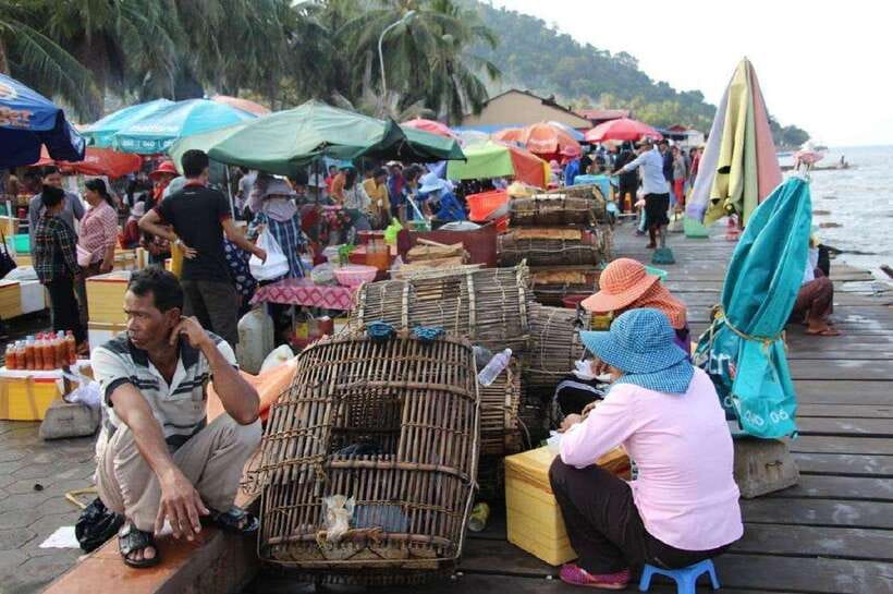 From Phnom Penh: Kampot Day Trip to Beautiful place W/ Guide - Food, walking, and the rhythm of the day