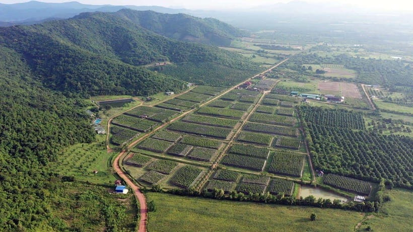 From Phnom Penh: Kampot Day Trip to Beautiful place W/ Guide - The road south and the value of a private vehicle