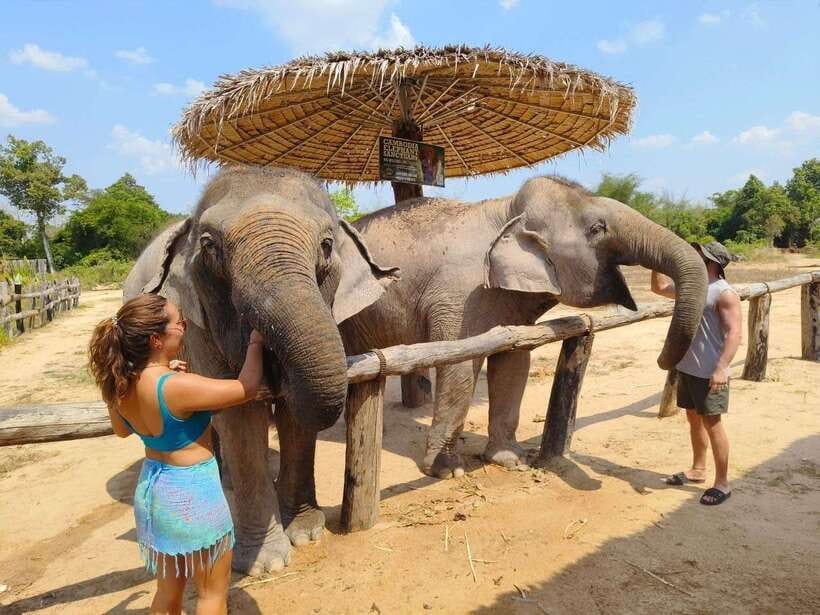 From Siem Reap: Elephant Sanctuary Experience with Transfers - What the $69 price really covers