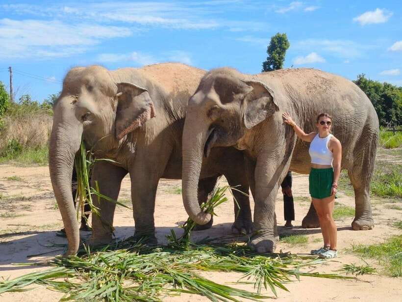 From Siem Reap: Elephant Sanctuary Experience with Transfers - A small sanctuary with a clear purpose