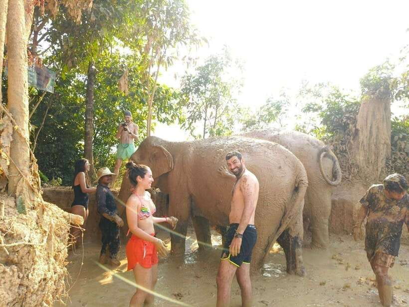 From Siem Reap: Elephant Sanctuary Experience with Transfers - The briefing comes before the elephants