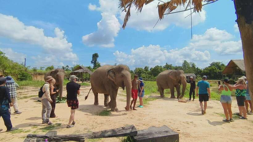 From Siem Reap: Elephant Sanctuary Experience with Transfers - Making healthy snacks by hand