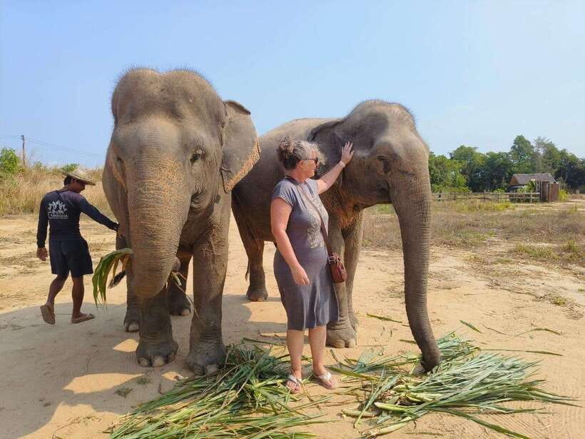 From Siem Reap: Elephant Sanctuary Experience with Transfers - The mud bath is fun, messy, and optional
