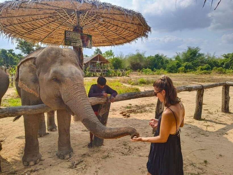 From Siem Reap: Elephant Sanctuary Experience with Transfers - The river and bathing session
