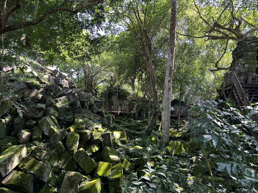 From Siem Reap: Half-Day Tour to Beng Mealea Temple - Jungle, stone, and the appeal of a quieter ruin