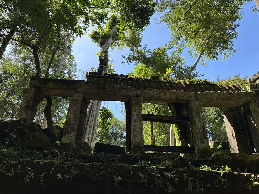 From Siem Reap: Half-Day Tour to Beng Mealea Temple - What the $130 price really covers