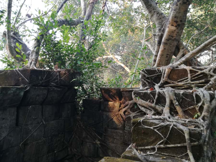 From Siem Reap: Half-Day Tour to Beng Mealea Temple - How the guide changes the experience