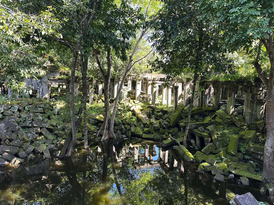 From Siem Reap: Half-Day Tour to Beng Mealea Temple - The one-hour ride from Siem Reap