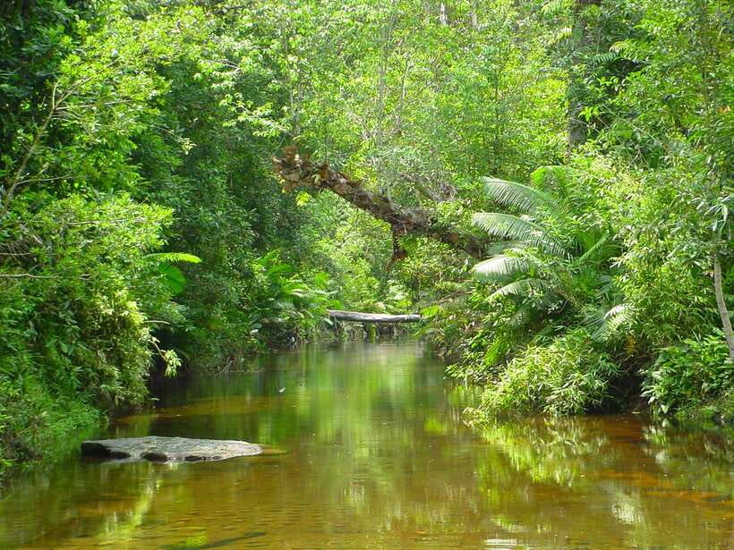From Siem Reap: Small-Group Phnom Kulen Waterfall Day Tour - The waterfall pools and the best part of the day
