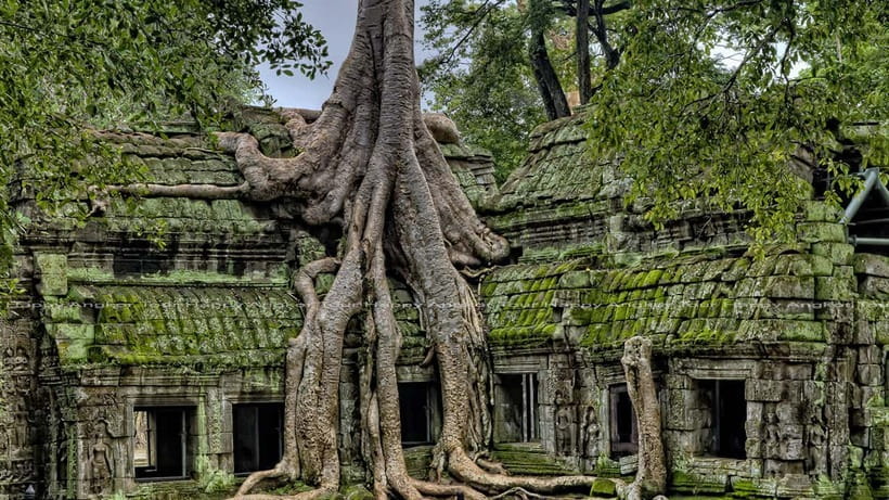 Full-Day Angkor Wat Sunrise and Sunset Private Tour - Angkor Thom and Bayon’s stone faces